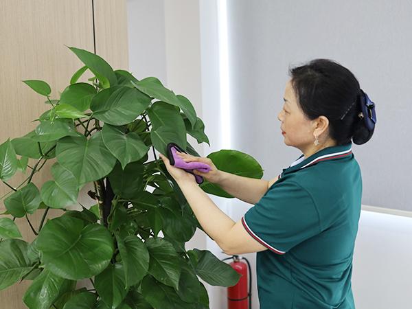 你真的了解保潔嗎？